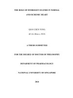 The role of hydrogen sulfide in normal and ischemic heart 