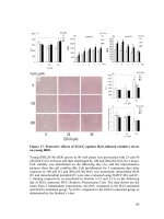 Mitochondrial integrity and antioxidative enzyme efficiency in fischer rats  effects of ageing and epigallocatechin 3  gallate intervention  4 