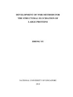 Development of NMR methods for the structural elucidation of large proteins 