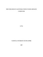 The intramolecular interactions in some aromatic compounds 