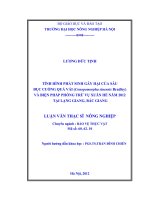 Tình hình phát sinh gây hại của sâu đục cuống quả vải (conopomorpha sinensiss bradley) và biện pháp phòng trừ vụ xuân   hè năm 2012 tại lạng giang, bắc giang