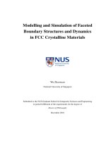 Modelling and simulation of faceted boundary structures and dynamics in FCC crystalline materials 