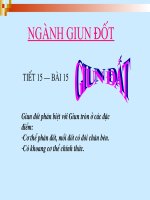 Tiết 15: Giun đất