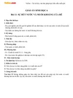 Giáo án sinh học 6 bài sự hút nước và muối khoáng của rễ