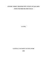 Atomic force microscopy study of malaria infected red blood cells