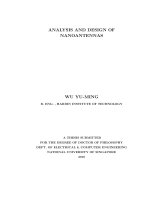 Analysis and design of nanoantennas 