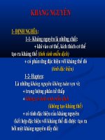 Bài giảng kháng  nguyên 