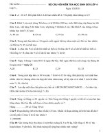 Đề thi học sinh giỏi lớp 4 ( hay)