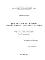 THÁC TRIỂN ÁNH XẠ CHỈNH HÌNH VÀO MIỀN HARTOGS TRONG KHÔNG GIAN PHỨC