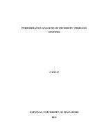 Performance analysis of diversity wireless systems 