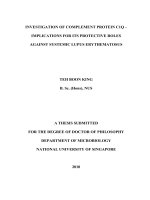 Investigation of complement protein c1q   implications for its protective roles against systemic lupus erythematosus 