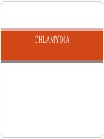 bài giảng CHLAMYDIA 