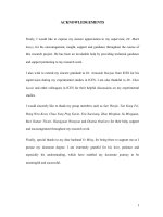 Design of a promoter to enhance the stability of catalysts for hydrocarbon reactions 1 