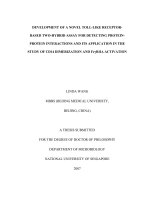 Development of a novel toll like receptor based two hybrid assay for detecting protein protein interactions and its application in the study of CD14 dimerization and FcyRIIA activation 