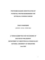 Proteomics based identification of potential protein biomarkers for epithelial ovarian cancer 