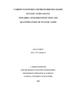 Carbon nanotubes and branched DNA based nucleic acid assays towards a PCR free detection and quantification of nucleic acids