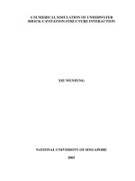 A numerical simulation of underwater shock cavitation  structure interaction