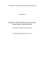 Luận văn thạc sĩ toán nghiên cứu một số tính chất của hạt dẫn trong trạng thái kích thích 