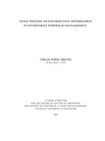 Evolutionary multi objective optimization in investment portfolio management