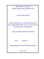 Đánh giá hiệu quả các loại hình sử dụng đất nông nghiệp theo hướng sản xuất hàng hoá tại huyện nghi lộc   tỉnh nghệ an