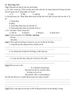 TỔNG HỢP ĐỀ THI TIẾNG VIỆT LỚP 5