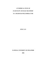 A numerical study of fluid flow and mass transport in a microchannel bioreactor