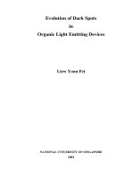 Evolution of dark spots in organic light emitting devices