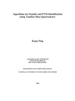 Algorithms for peptide and PTM identification using tandem mass spectrometry 