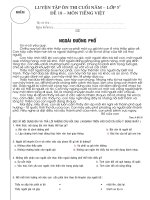 ĐỀ (2) KTĐK CUỐI HK II nh 2010   2011 MÔN TIẾNG VIỆT 5 * ĐỌC THẦM