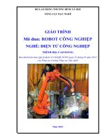 Giáo trình robot công nghiệp nghề điện tử công nghiệp trình độ cao đẳng (tổng cục dạy nghề) 