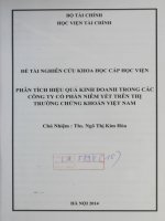 phân tích hiệu quả kinh doanh trong các công ty cổ phần niêm yết trên thị trường chứng khoán việt nam