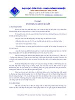 giáo trình  kỹ thuật canh tác bắp 