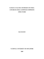 Fatigue analysis and design of steel concrete steel sandwich composite structures