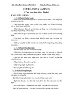 giao an 3t cd truong mam non