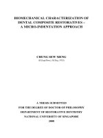 Biomechanical characterization of dental composite restoratives   a micro indentation approach