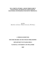 DNA chip platform a high throughput genotyping technology for genetic diagnosis and pharmacogenetic profiling 