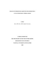 Essays on endogenous growth and endogenous cycle with policy implications