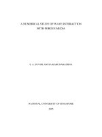 A numerical study of wave interaction with porous media