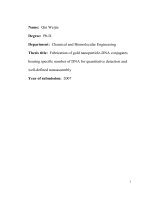 Fabrication of gold nanoparticle DNA conjugates bearing specific number of DNA for quantitative detection and well defined nanoassembly