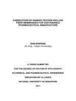 Fabrication of nanofiltration hollow fiber membranes for sustainable pharmaceutical manufacture