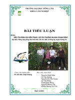Điều tra đánh giá hiện trạng, lập các phương án kinh doanh rừng tại địa điểm rừng cộng đồng thôn kâm sân, tiểu khu 286, xã hồng hạ, hương trà 