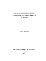 Bicyclic guanidine catalyzed enantioselective allylic addition reactions