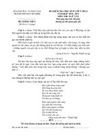 Đề và đáp án Ngữ văn 9 HK2 (2010   2011)