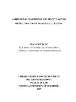 Antidumping, competition and the WTO system implications for vietnamese legal reform 