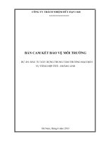 Bản cam kết bảo vệ môi trường đầu tư xây DỰNG TRUNG tâm THƯƠNG mại DỊCH vụ TỔNG hợp ôtô   HOÀNG ANH