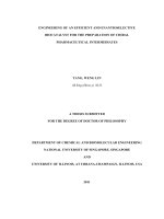 Engineering of an efficient and enantioselevtive biocatalyst for the preparation of chiral pharmaceutical intermediates