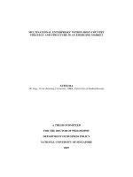 Essays on multinational enterprises within host country strategy and structure in an emerging market