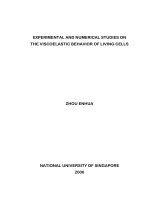 Experimental and numerical studies on the viscoelastic behavior of living cells