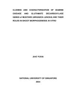 Cloning and characterization of diamine oxidase and glutamate decarboxylase genes of mustard (brassica juncea) and their roles in shoot morphogenesis in vitro