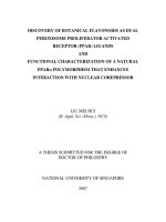 Discovery of botanical flavonoids as dual peroxisome proliforator, activated receptor (PPAR) ligands and functional characterization of a natural PPAR polymorphism that enhances interaction with nuclear compressor 